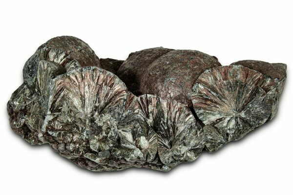 A rough (uncut) piece of seraphinite.